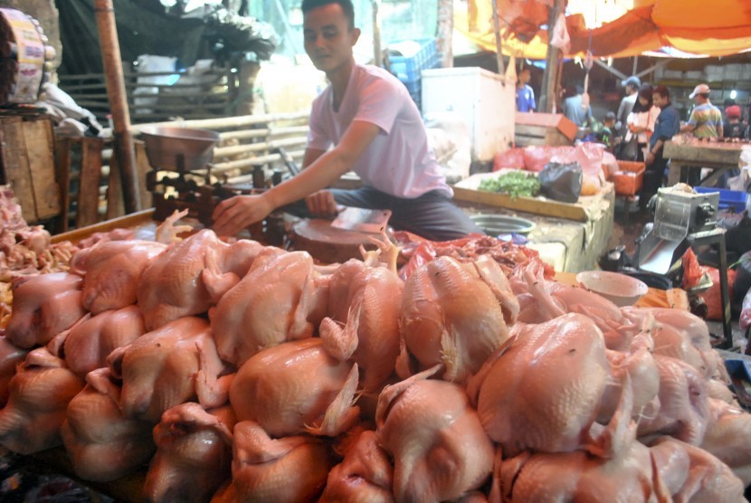 Jelang Imlek, Harga Ayam di Pekanbaru Stabil