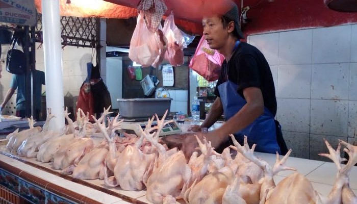 Harga Ayam di Pekanbaru Masih Stabil